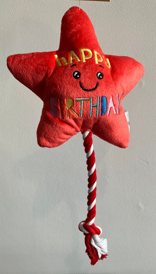 Star Balloon Plush and Rope Toy