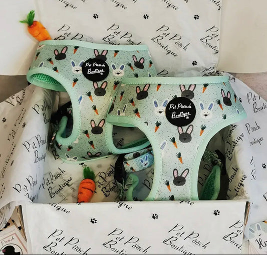 Pet Pooch Boutique Easter Harness