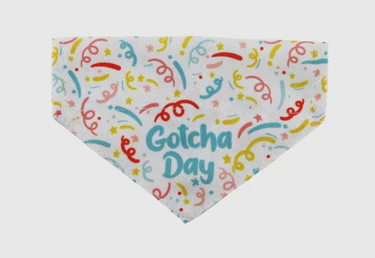 Ancol Gotcha Day Bandana